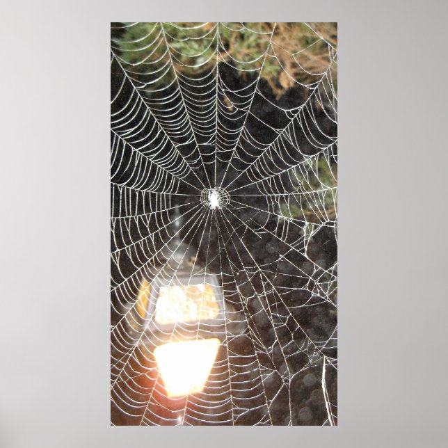 Póster Spider Web en la tecnología de las fotografías noc (Frente)