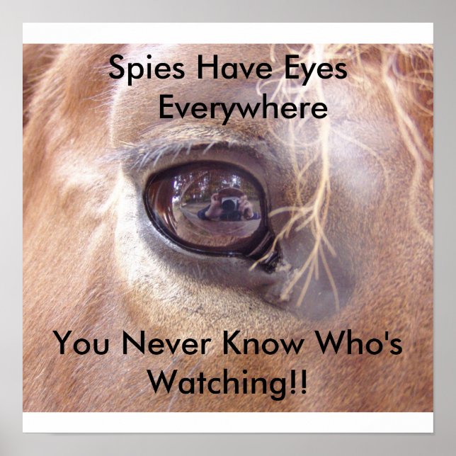 Póster Spies Eyes (Frente)