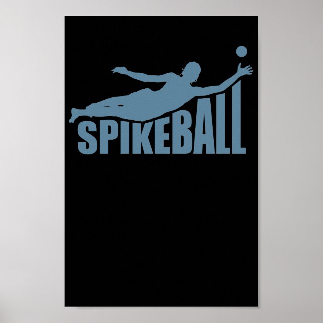 Póster Spikeball Ballsport Freizeit Roundball (Frente)