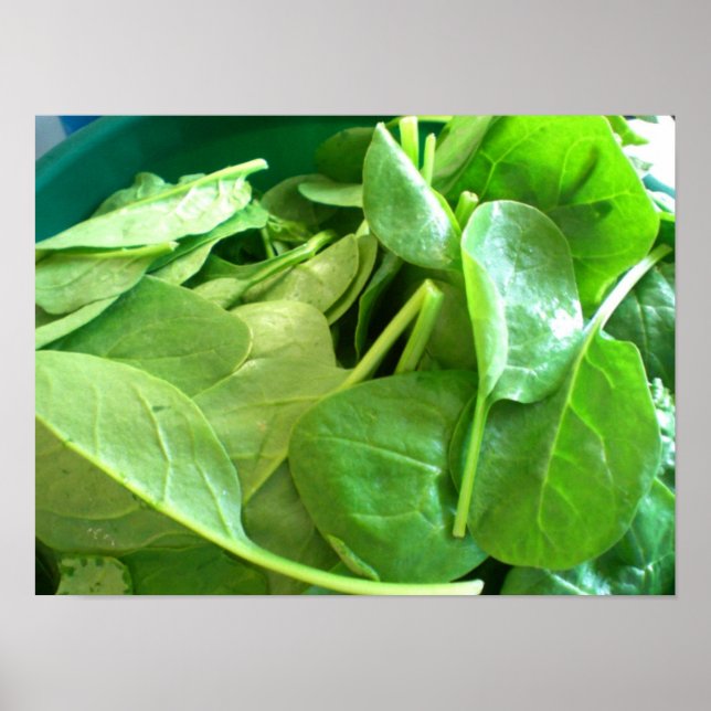 Póster Spinach (Frente)