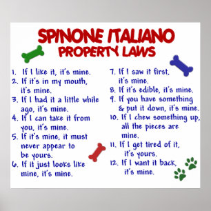 PÓSTER SPINONE ITALIANO PL2