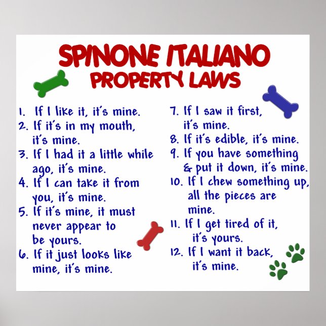 PÓSTER SPINONE ITALIANO PL2 (Frente)