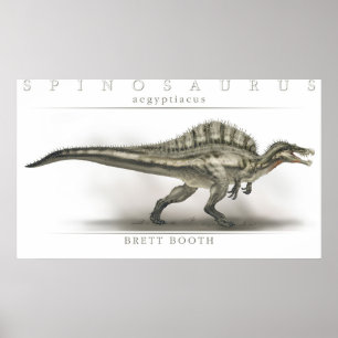 Póster Spinosaurus aegyptiacus