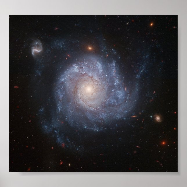 Póster Spiral Galaxy (Frente)