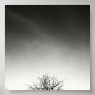 Póster Spiritu
