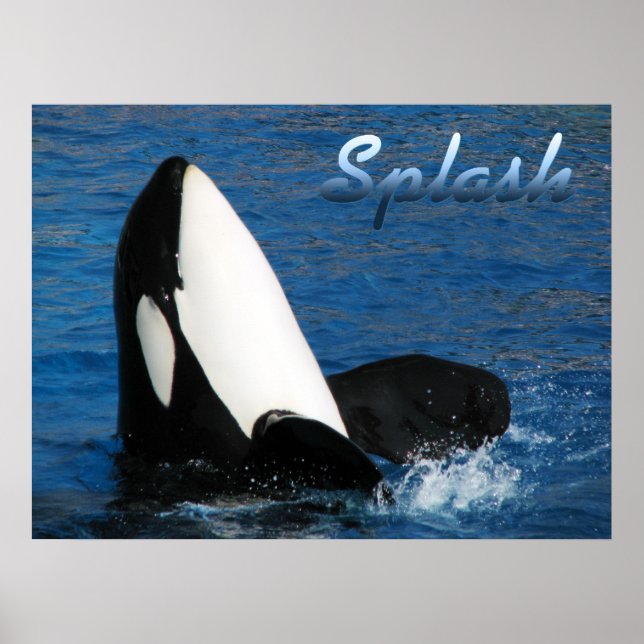 Póster Splash (Frente)