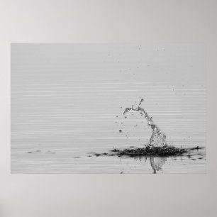 Póster Splash