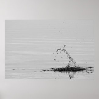 Póster Splash