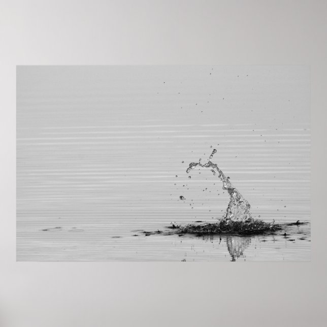 Póster Splash (Frente)