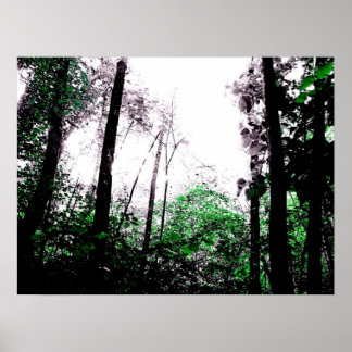 Póster Splashes of Green