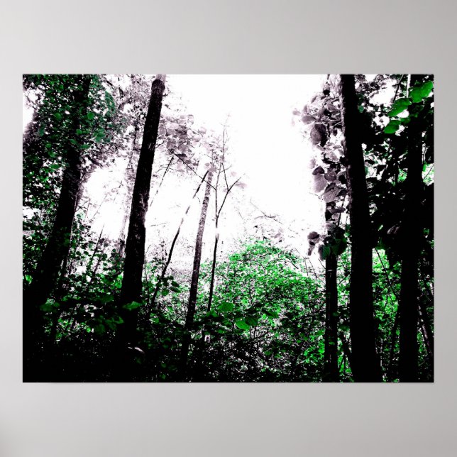 Póster Splashes of Green (Frente)