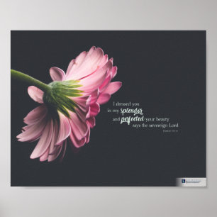 Póster Splendor (Ezekiel 16:14)