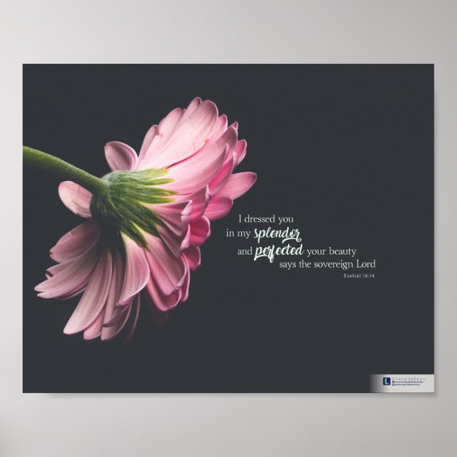 Póster Splendor (Ezekiel 16:14) (Frente)