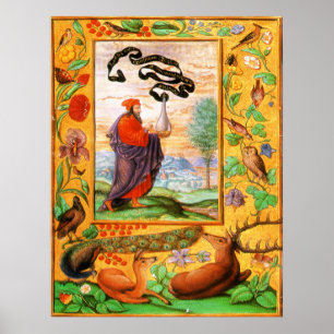 Póster Splendor Solis: Filósofo con máscara