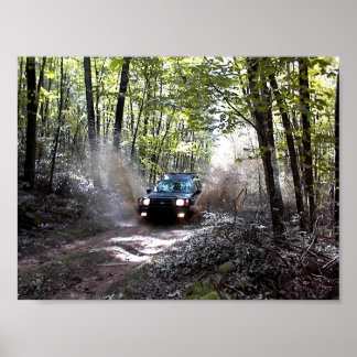 Póster Splish Splash