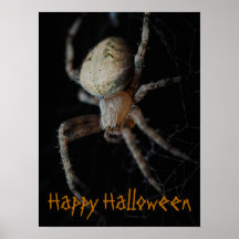 Spooky Spider Web - Poster de Halloween