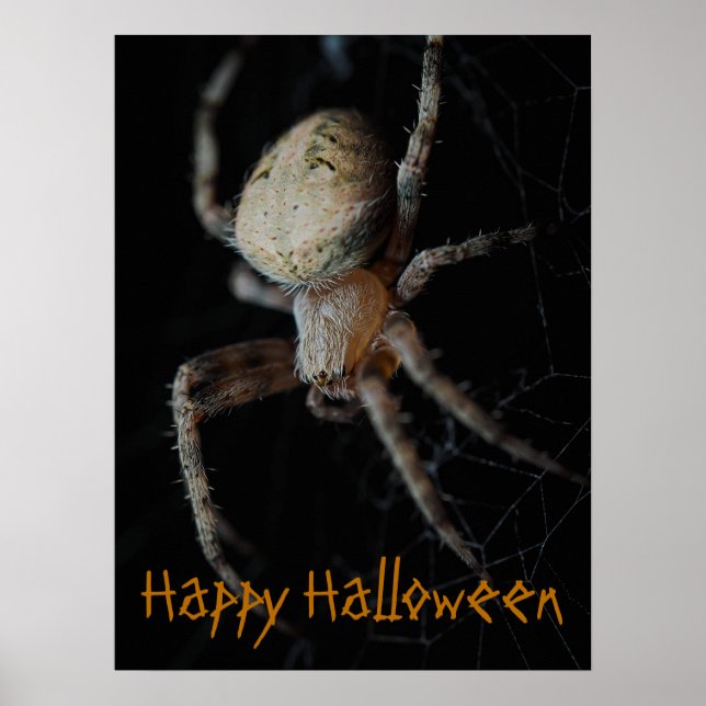 Póster Spooky Spider Web - Poster de Halloween (Frente)