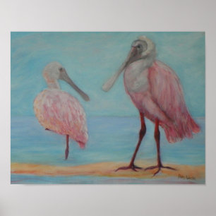 Póster SPOONBILLS ROSADOS EN el poster de la FLORIDA