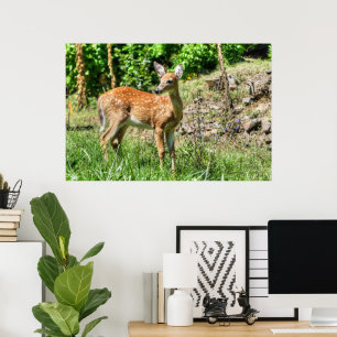 Póster Spoted Fawn