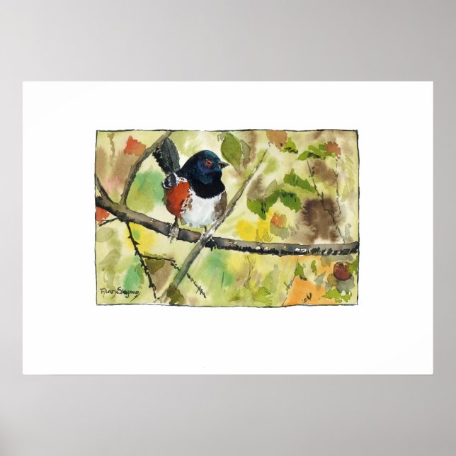 Póster Spotted Towhee, bird image, wall art, decoration (Frente)