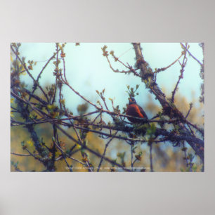 Póster Spring