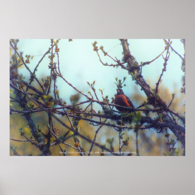 Póster Spring (Frente)