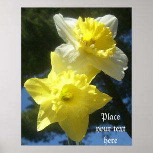 Póster Spring beautiful daffodils customizable poster