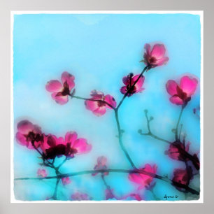 Póster Spring blossom,poster