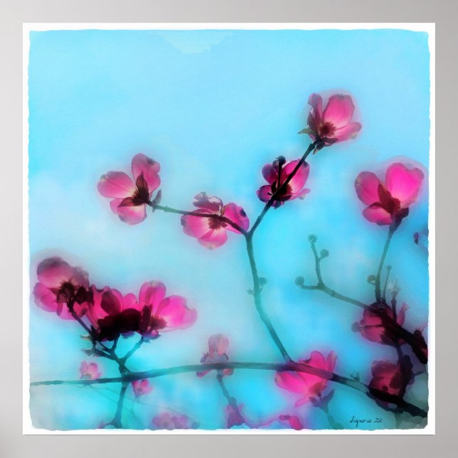 Póster Spring blossom,poster (Frente)