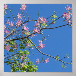 Póster Spring, branch of a blossoming tree