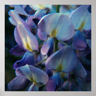 Póster Spring Creations Poster