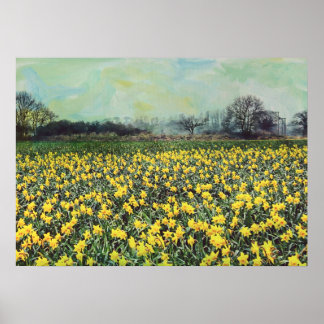 Póster Spring daffodil Fields