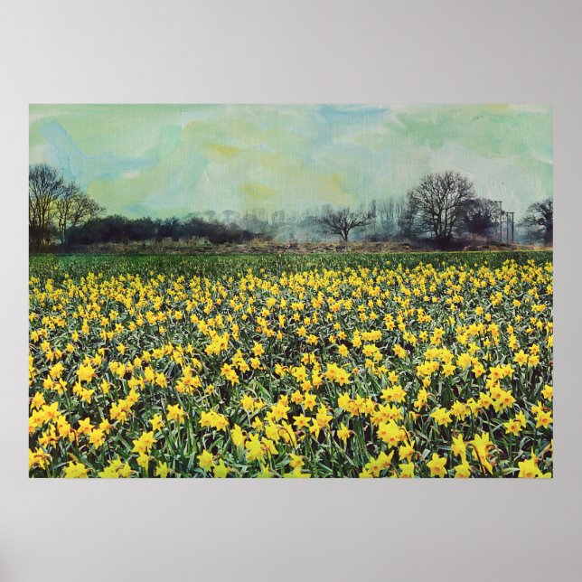 Póster Spring daffodil Fields (Frente)