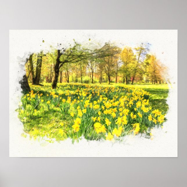 Póster Spring Daffodils (Frente)