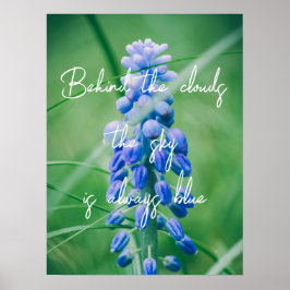 Póster Spring Flower (Grape Hyacinth)