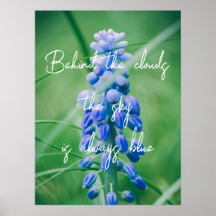 Póster Spring Flower (Grape Hyacinth)