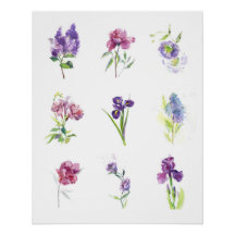 Spring Flowers Botanical Watercolor Collection