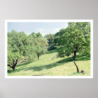 Póster Spring Hillside, San José (poster)