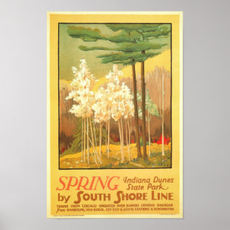 Póster Spring in Indiana Dunes State Park