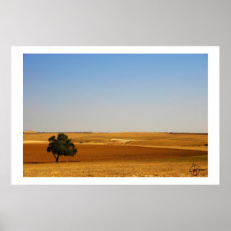 Póster Spring in the Negev