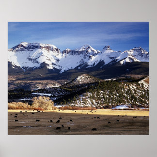 Póster Spring in the San Juans