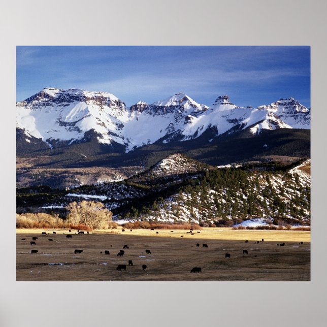 Póster Spring in the San Juans (Frente)
