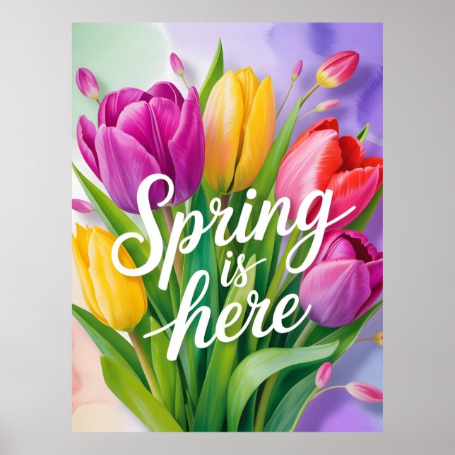 Póster "Spring is Here" Tulip Bouquet Illustration (Frente)