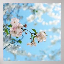 Póster Spring Is in the Air - 