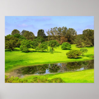 Póster Spring Meadow