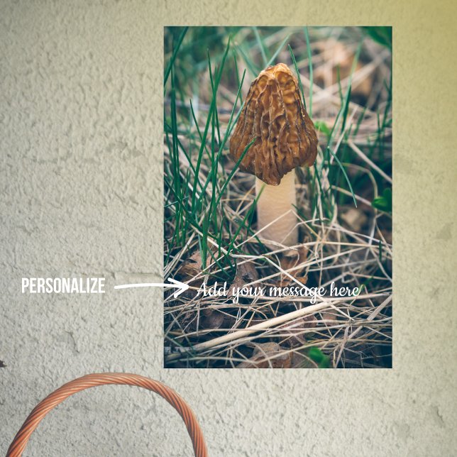 Póster Spring Morel Mushroom (Subido por el creador)