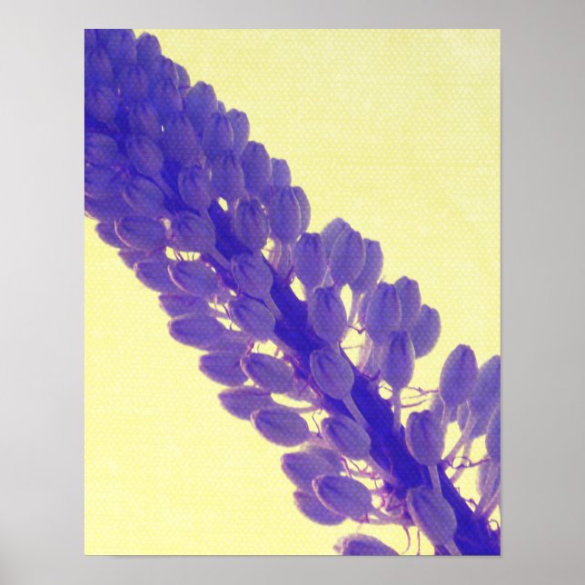 Póster Spring Prints (Frente)
