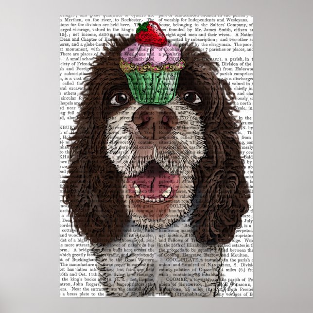 Póster Springer Spaniel con Cupcake (Frente)