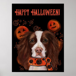 Póster Springer Spaniel Inglés      