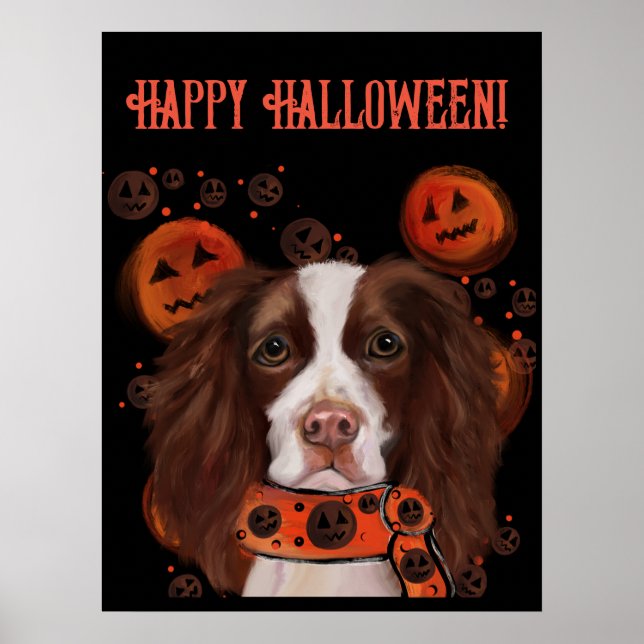 Póster Springer Spaniel Inglés       (Frente)